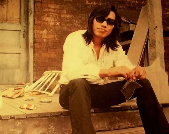 searching for sugar man