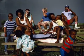 Alex Webb