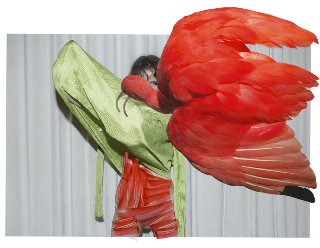 Viviane Sassen en PHotoESPAÑA 2026